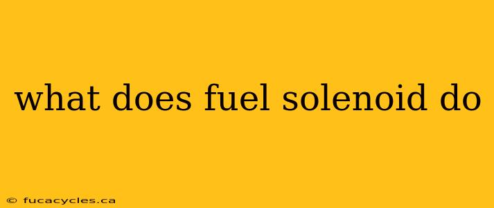 what does fuel solenoid do