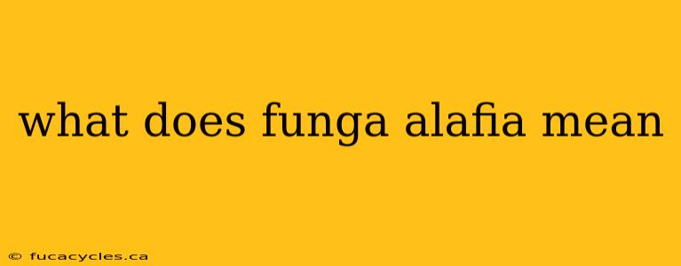 what does funga alafia mean