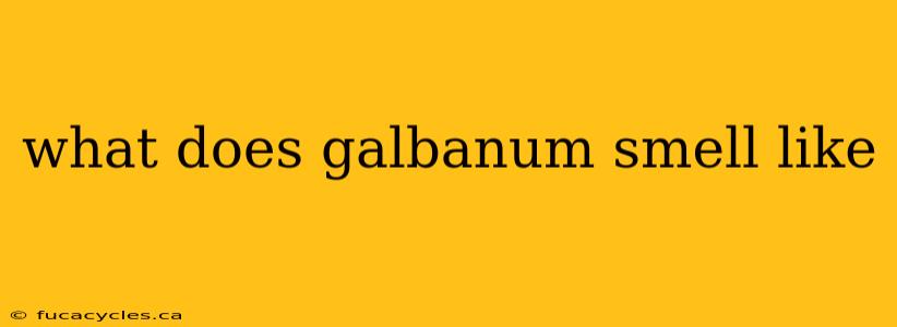 what does galbanum smell like