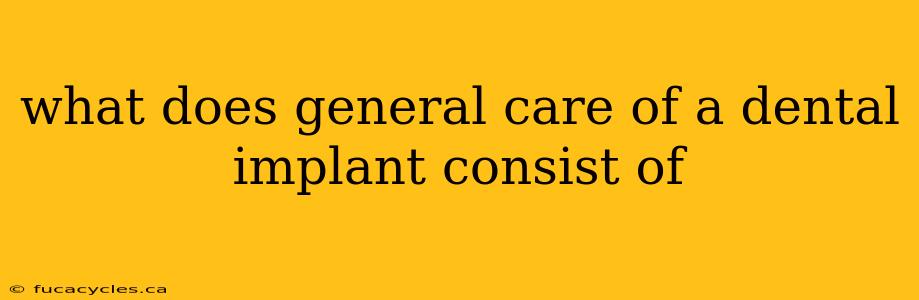 what does general care of a dental implant consist of