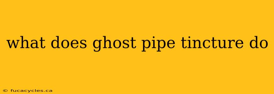 what does ghost pipe tincture do