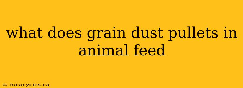 what does grain dust pullets in animal feed