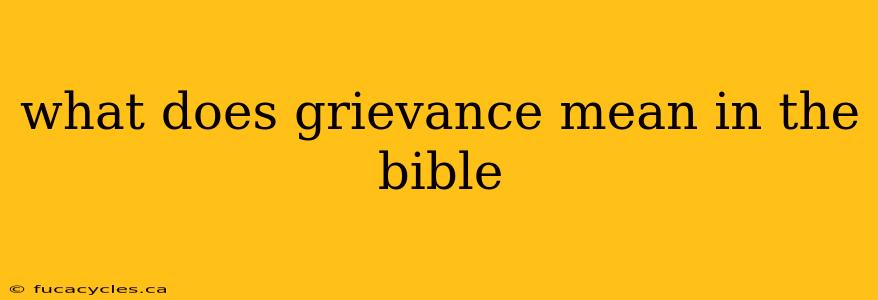 what does grievance mean in the bible