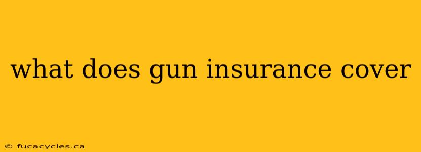 what does gun insurance cover