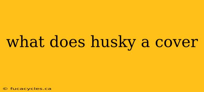 what does husky a cover