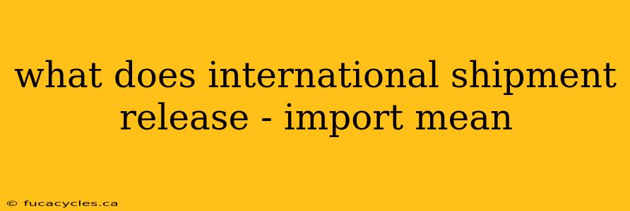 what does international shipment release - import mean