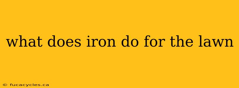 what does iron do for the lawn