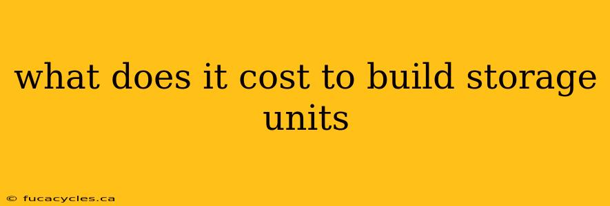 what does it cost to build storage units