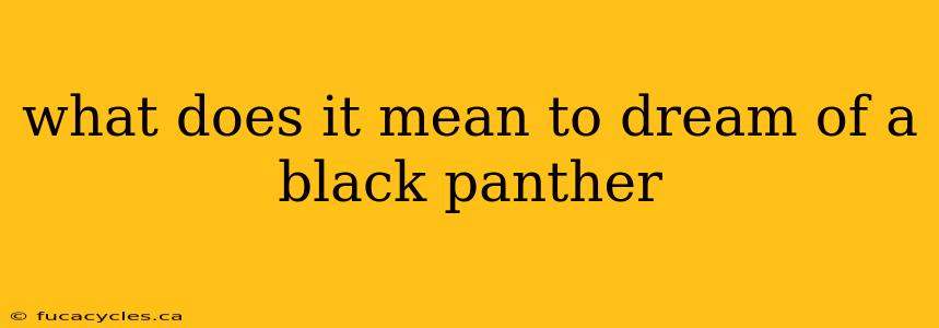 what does it mean to dream of a black panther