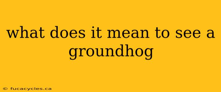 what does it mean to see a groundhog