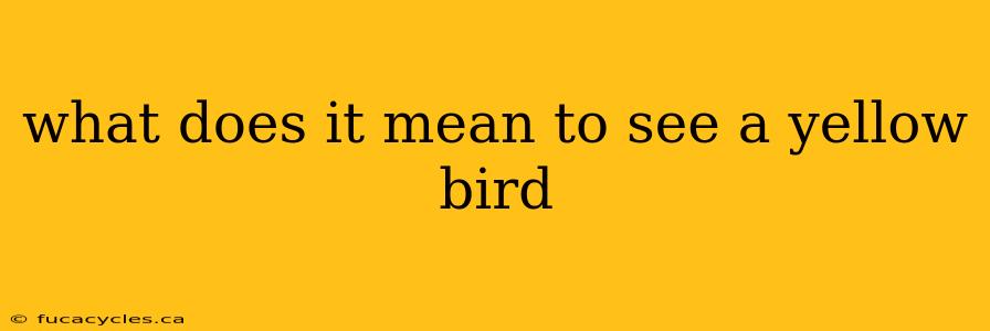 what does it mean to see a yellow bird