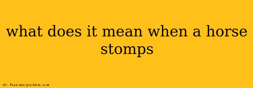 what does it mean when a horse stomps