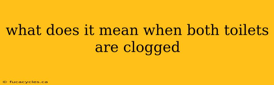 what does it mean when both toilets are clogged