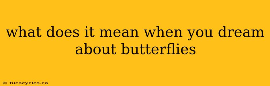 what does it mean when you dream about butterflies