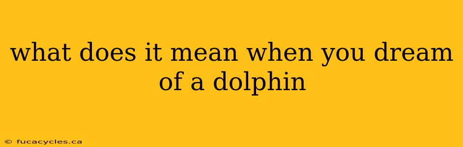 what does it mean when you dream of a dolphin