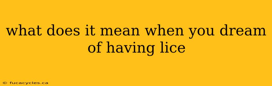 what does it mean when you dream of having lice