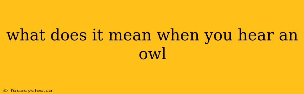 what does it mean when you hear an owl