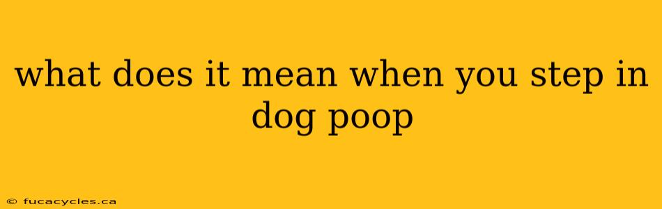 what does it mean when you step in dog poop