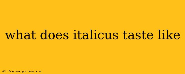 what does italicus taste like