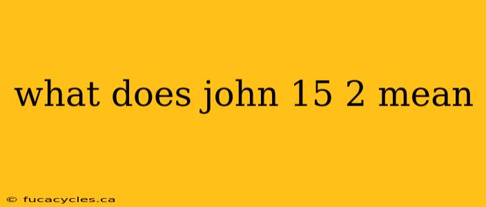 what does john 15 2 mean