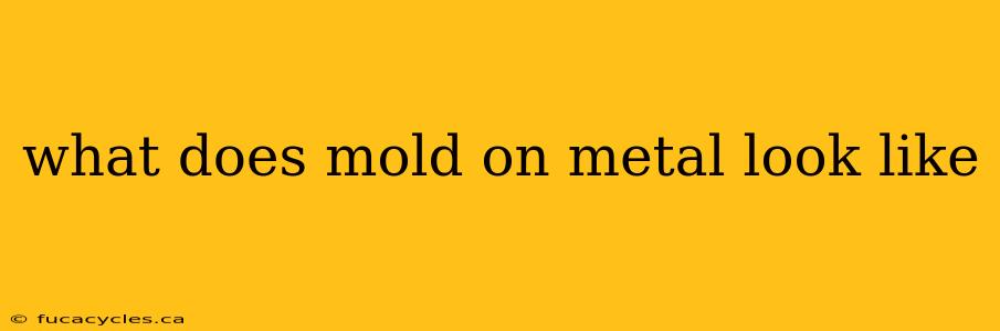 what does mold on metal look like