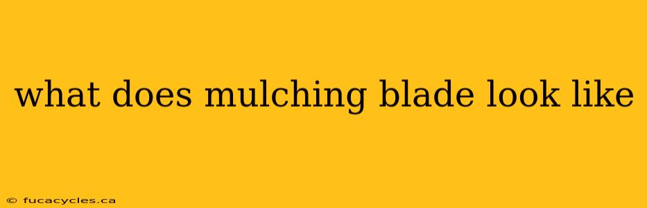 what does mulching blade look like