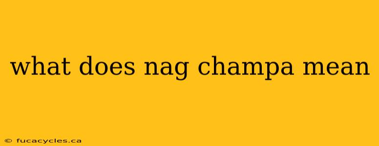 what does nag champa mean