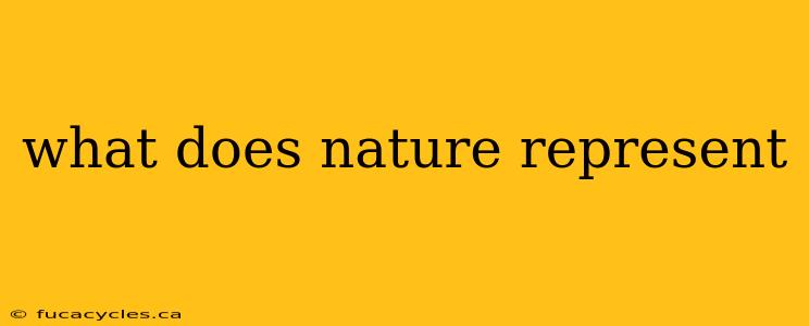 what does nature represent