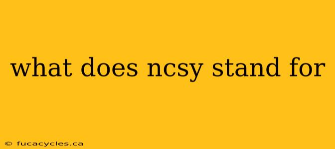 what does ncsy stand for