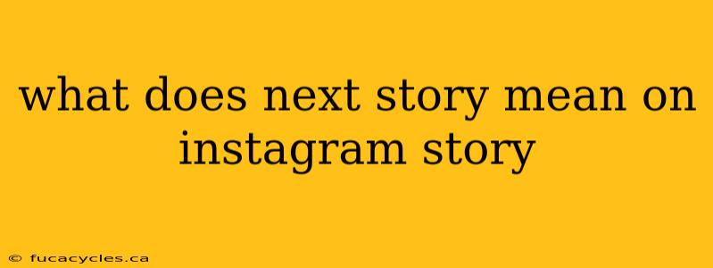 what does next story mean on instagram story