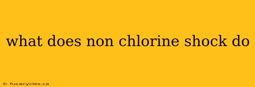 what does non chlorine shock do