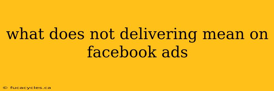 what does not delivering mean on facebook ads