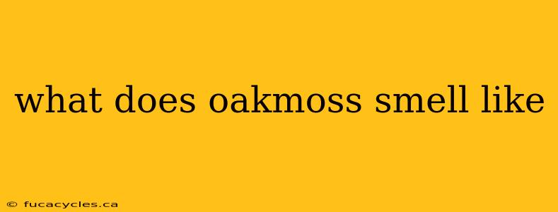 what does oakmoss smell like