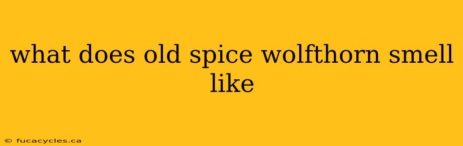 what does old spice wolfthorn smell like