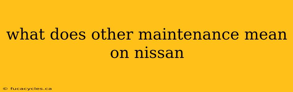 what does other maintenance mean on nissan