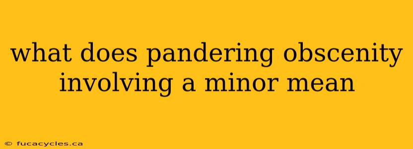 what does pandering obscenity involving a minor mean