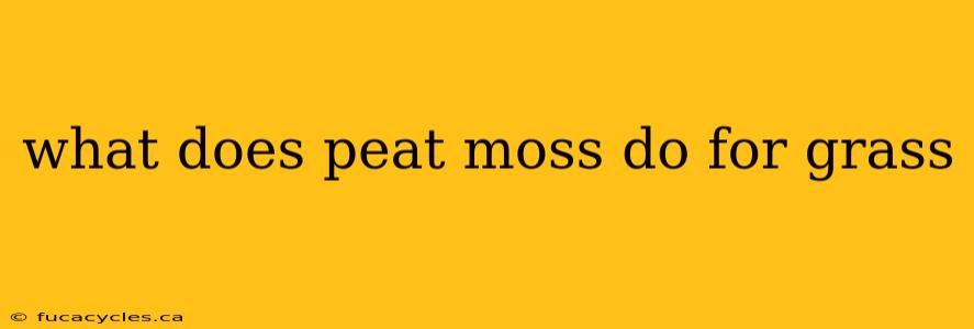 what does peat moss do for grass