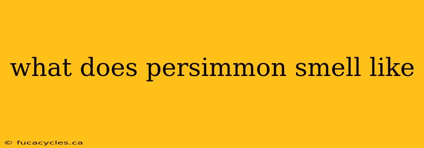 what does persimmon smell like