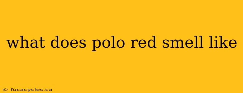 what does polo red smell like