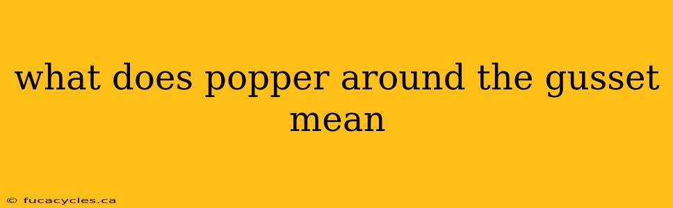 what does popper around the gusset mean