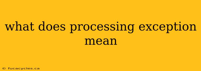 what does processing exception mean