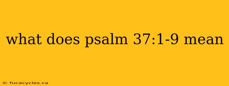 what does psalm 37:1-9 mean