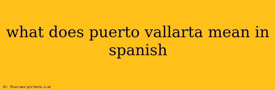 what does puerto vallarta mean in spanish