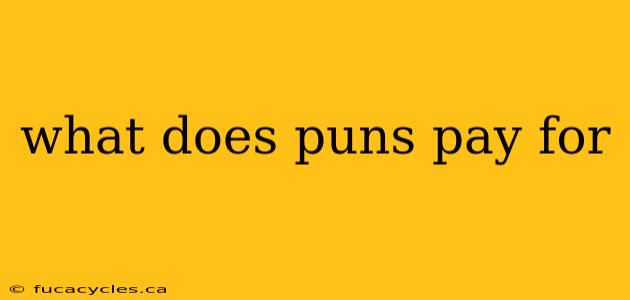 what does puns pay for