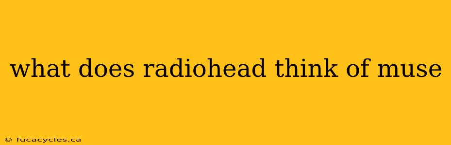 what does radiohead think of muse