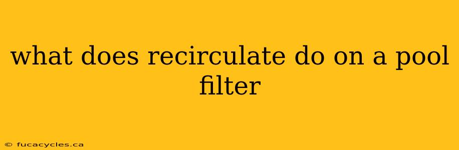 what does recirculate do on a pool filter