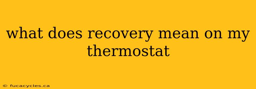 what does recovery mean on my thermostat