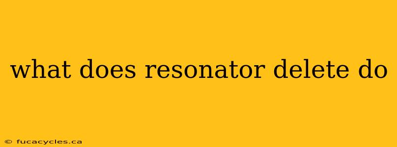 what does resonator delete do