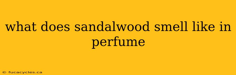 what does sandalwood smell like in perfume