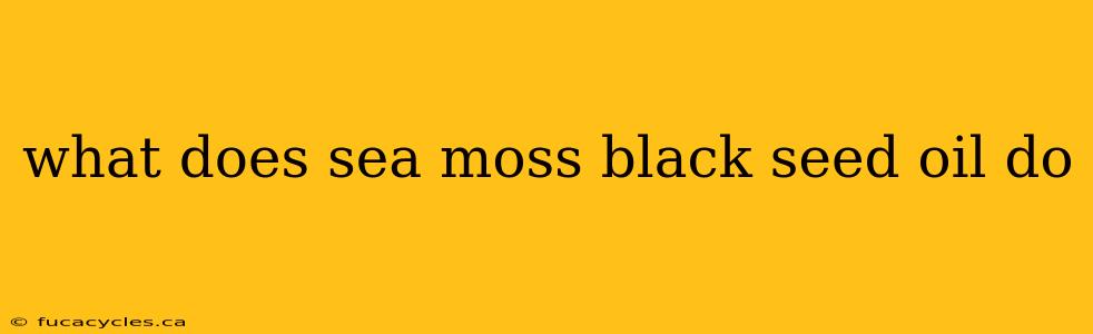 what does sea moss black seed oil do